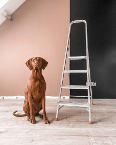 Floer-Landhuis-Laminaat-Lichte-Eik-klussen-extra-breed-laminaat-leggen